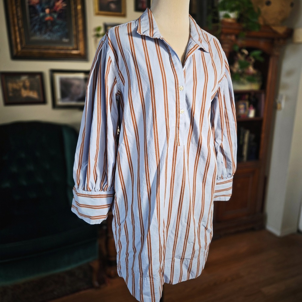 Free Assembly Shirt Dress Womens Large Blue Brown Striped Cotton Long Sleeve L